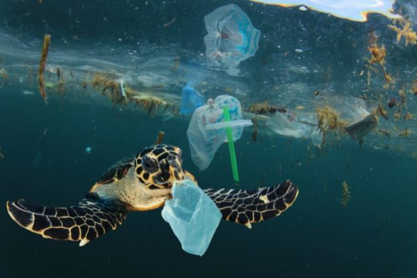 poluição pelos plásticos